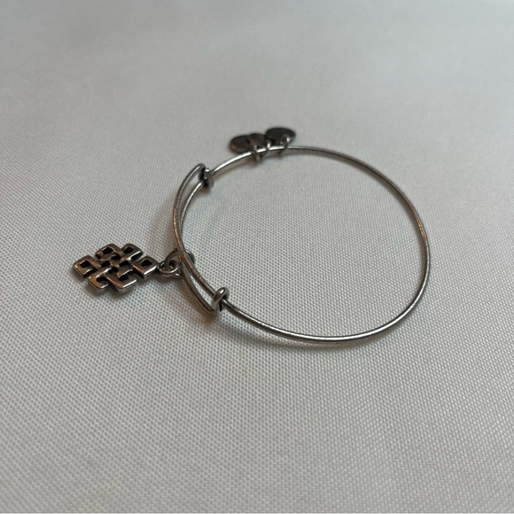 Alex And Ani Endless Knot Charm Antique Silver Finish Bangle Bracelet One Size - Picture 6 of 16